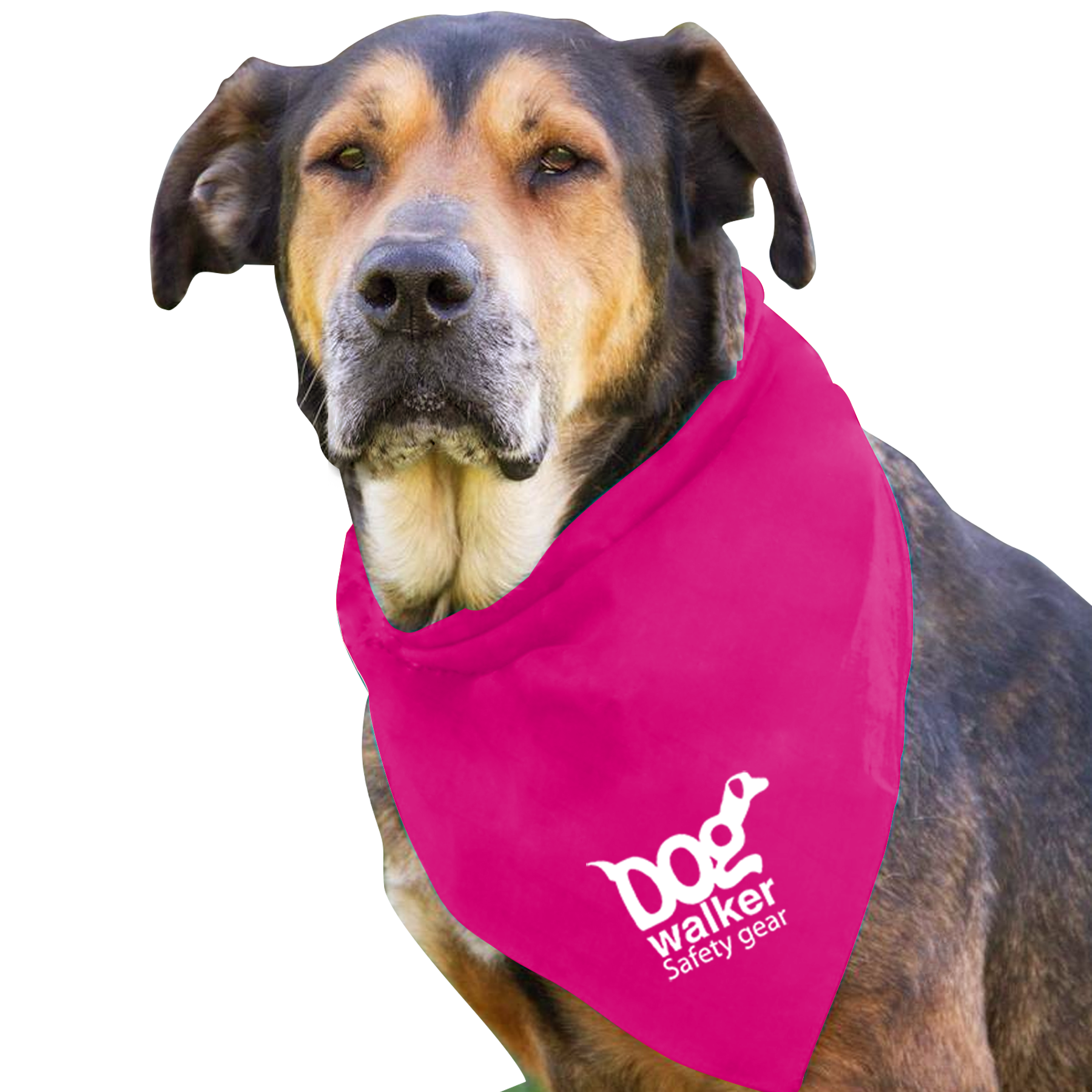 Large Triangle Doggie Bandana